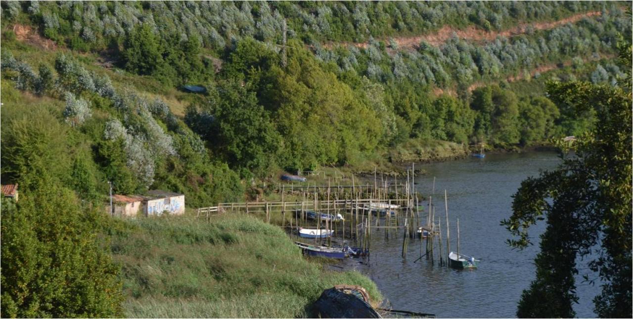 La Quintana Del Castillo Soto Del Barco Bagian luar foto